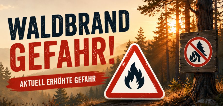 Infografik Waldbrandgefahr